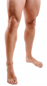 Piernas enteras